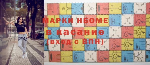 индика Аркадак