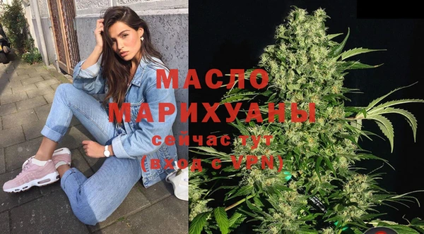 индика Аркадак