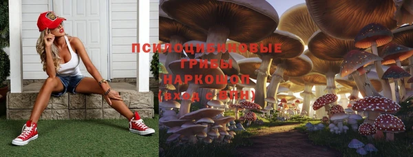 индика Аркадак