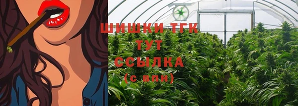 индика Аркадак