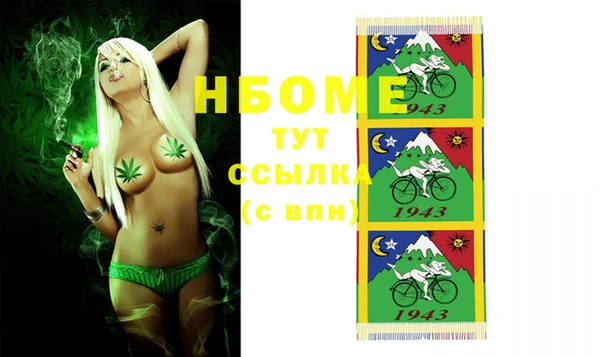 индика Аркадак