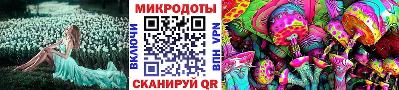 Псилоцибиновые грибы Psilocybine cubensis  блэк спрут ссылка  Октябрьский 