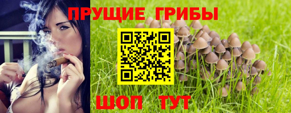 Псилоцибиновые грибы прущие грибы  Вход с VPN  Октябрьский 