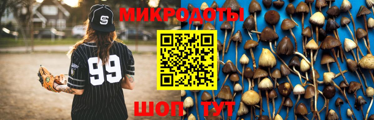 Псилоцибиновые грибы Psilocybe Октябрьский